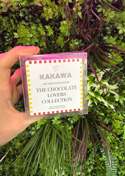 The Chocolate Lovers Mini Bloc Collection (5x96g)