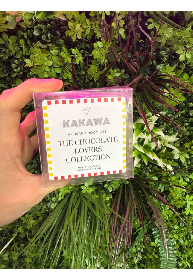 The Chocolate Lovers Mini Bloc Collection (5x96g)